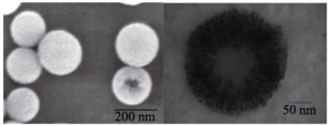 SEM-and-TEM-images-of-CaCO3-nanoparticles.png